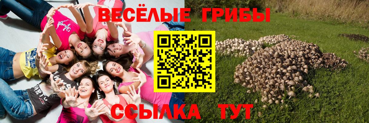 Псилоцибиновые грибы GOLDEN TEACHER Воронеж